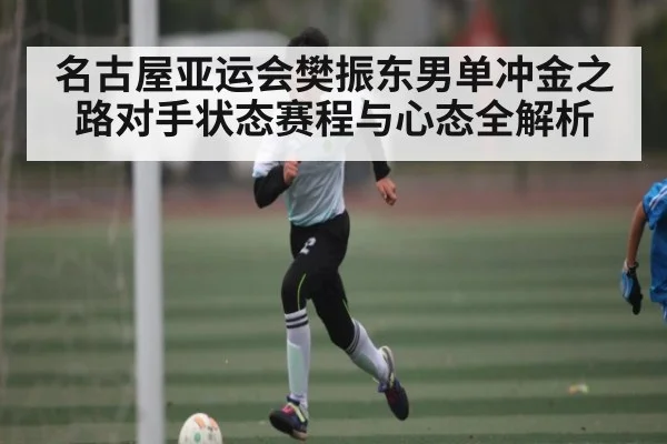 名古屋亚运会樊振东男单冲金之路对手状态赛程与心态全解析