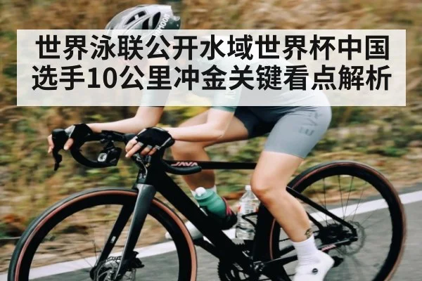 世界泳联公开水域世界杯中国选手10公里冲金关键看点解析